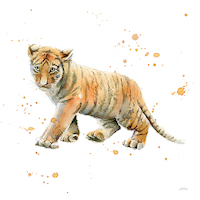 100cm x 100cm Tiger Cub von Katrina Pete