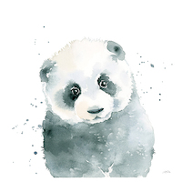 100cm x 100cm Panda Cub von Katrina Pete