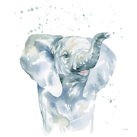 100cm x 100cm Baby Elephant von Katrina Pete