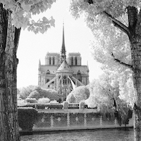 100cm x 100cm France Paris Notre-Dame von Dave Butcher