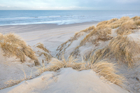 100cm x 66.67cm Les dunes - pastel von Georges-Félix Cohen
