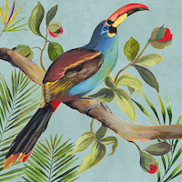 100cm x 100cm Paradise Toucan I von Aimee Wilson