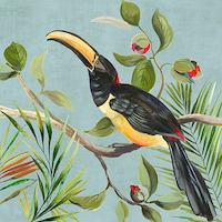 100cm x 100cm Paradise Toucan II von Aimee Wilson