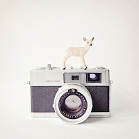 100cm x 100cm Deer & Vintage Camera von Susannah Tucker Photography