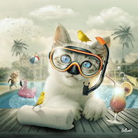100cm x 100cm Cat piscine von Sylvain Binet