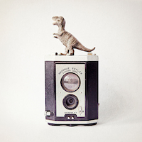 100cm x 100cm T-Rex & Vintage Camera von Susannah Tucker Photography