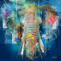 100cm x 100cm Eléphant bleu von Sylvain Binet