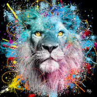 100cm x 100cm Lion Color von Moki