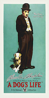 50cm x 100cm Chaplin, Charlie, A Dogs Life, 1918 von Hollywood Photo Archive