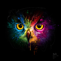 100cm x 100cm POP Owl von Patrice Murciano