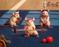 50cm x 40cm Gym Rats von Lucia Heffernan