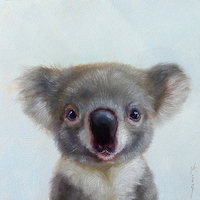 50cm x 50cm Lil Koala von Lucia Heffernan