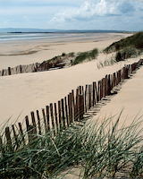 80cm x 100cm Drifting Sands von Gill Copeland