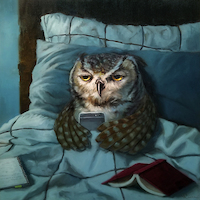 70cm x 70cm Night Owl von Lucia Heffernan