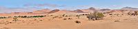208cm x 45cm Sossusvlei Desert Namib von Peter Hillert