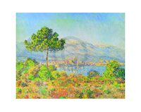 71cm x 56cm Antibes, 1888, CM-142 von Claude           Monet