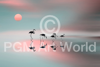 10cm x 6.7cm Family flamingos von Natalia