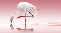 10cm x 5.5cm Flamingo von Doris Reindl