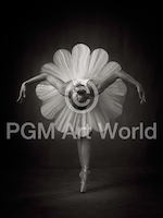 9cm x 12cm Floral Ballet von Catchlight Studio