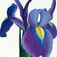 30cm x 30cm Iris von Stephanie Andrew
