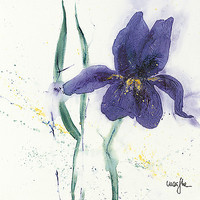 30cm x 30cm Iris II von Marthe