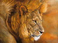 40cm x 30cm Lion du Serengeti von Danielle Beck