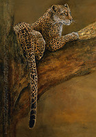 70cm x 100cm Panthera du Serengeti von Danielle Beck