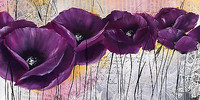 100cm x 50cm Pavot violet I von Isabelle Zacher-Finet