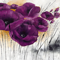 30cm x 30cm Pavot violet IV von Isabelle Zacher-Finet