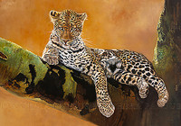 100cm x 70cm Léopard du Serengeti von Danielle Beck