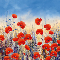 30cm x 30cm Sunset Poppies von Hilary Mayes