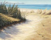50cm x 40cm Pathway to the Beach von Caroline Atkinson