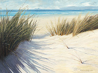80cm x 60cm Dune Pathway von Caroline Atkinson