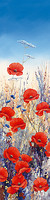 20cm x 80cm Poppy Field I von Hilary Mayes