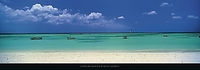 95cm x 33cm Palm Beach, Aruba, Caribbean von MACKIE