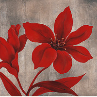 50cm x 50cm Crimson Bloom 1 von RIG Studio