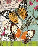 24cm x 30cm Bountiful Butterfly 1 von Walter Robertson