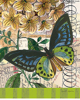 24cm x 30cm Bountiful Butterfly 2 von Walter Robertson