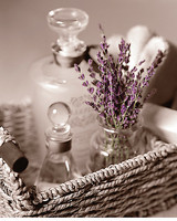24cm x 30cm Lavender Tray von Julie Greenwood