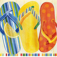 30cm x 30cm Colorful Flip Flops von Mary Escobedo