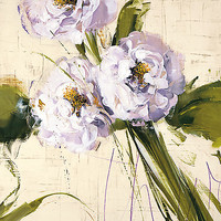 50cm x 50cm White Flowers von Antonio Massa