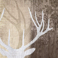 70cm x 70cm Deer Lodge II von Tandi Venter