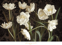 91.4cm x 66cm Bountiful Tulips von Donna Geissler