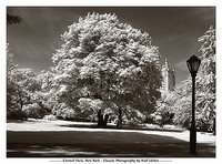 115.5cm x 85.5cm Central Park, New York von Ralf Uicker