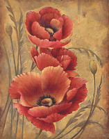 56cm x 71cm Poppy Passion I von Elaine Vollherbst-Lane
