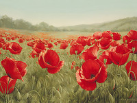 40cm x 30cm Field of Poppies von Igor Levashov