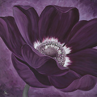 70cm x 70cm Purple Passion I von Kaye Lake