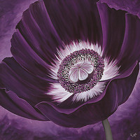 70cm x 70cm Purple Passion II von Kaye Lake