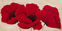 100cm x 50cm Linen Poppies II von Kaye Lake