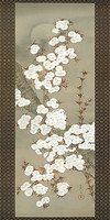 50cm x 100cm Cherry Blossoms von Yoshida Shuran